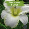 Саженцы лилейника Близзард Бэй (Blizzard Bay) - 5 шт.: фото и описание